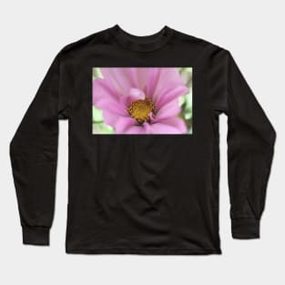 Cosmos Curl Long Sleeve T-Shirt